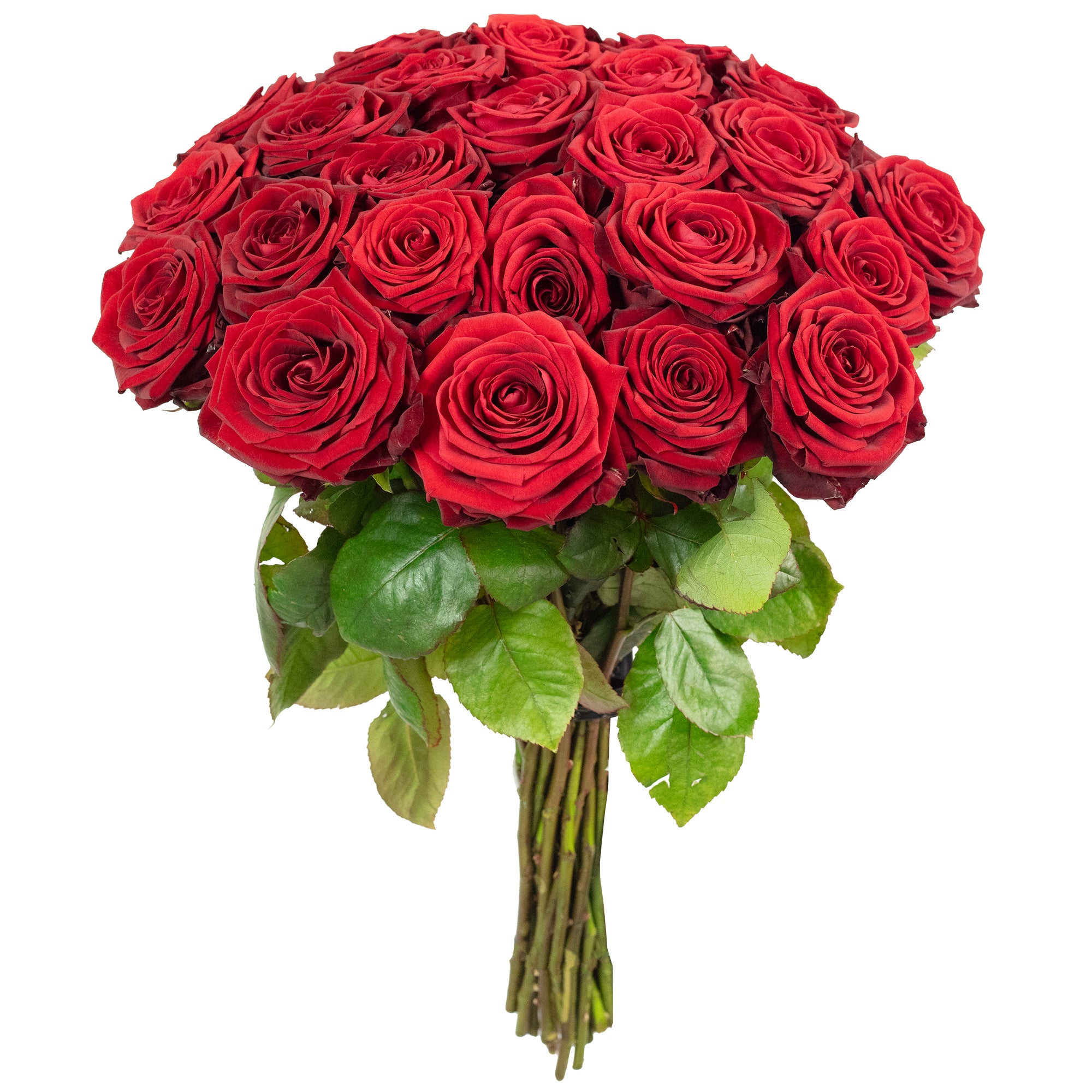 Blumenstrauß  'Red Passion'  - Stiellänge ca. 50 cm - Strauß frischer roter Rosen