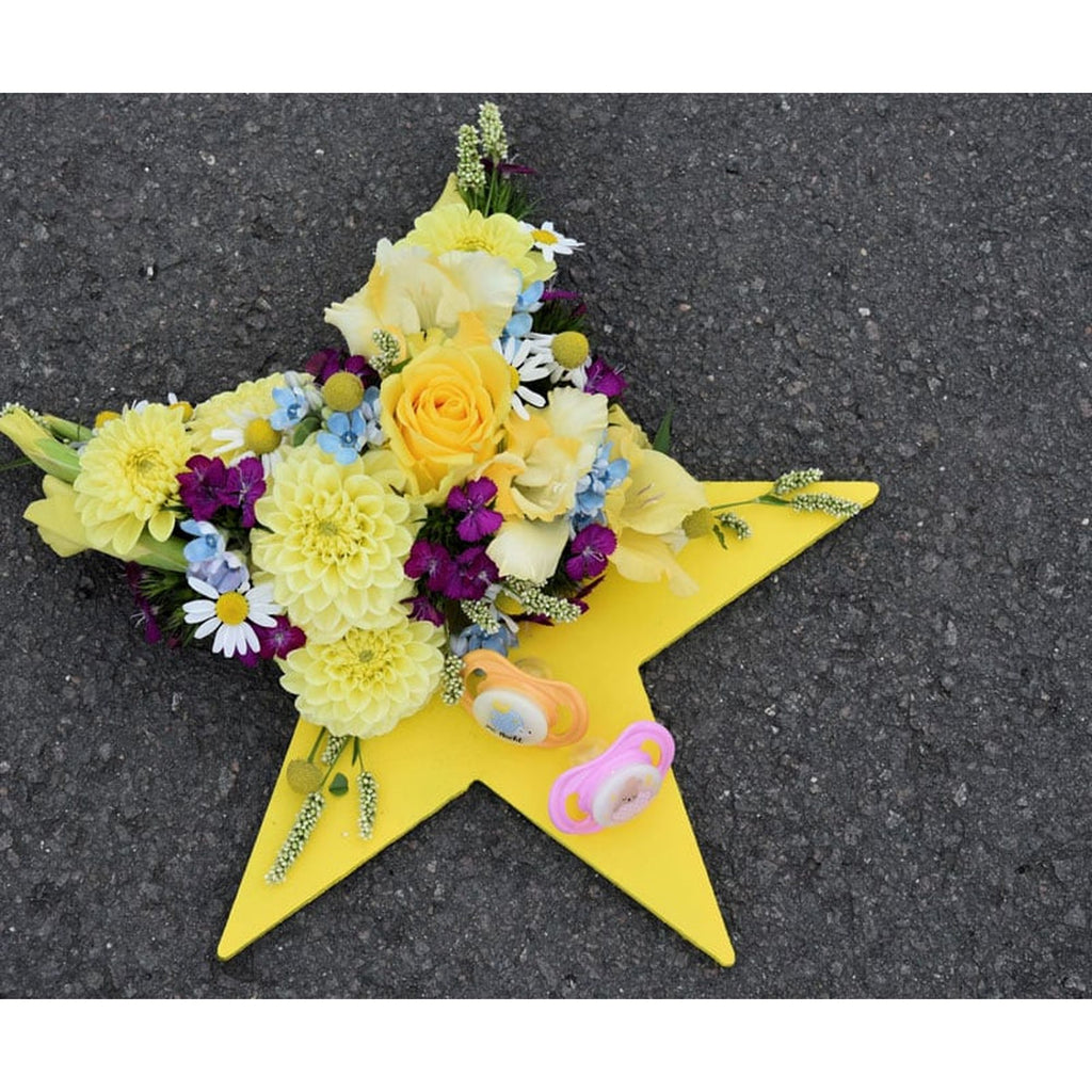 OASIS® BLACK BIOLINE® Crea Star - 2 pièces - 29 x 30 x 4,5 cm