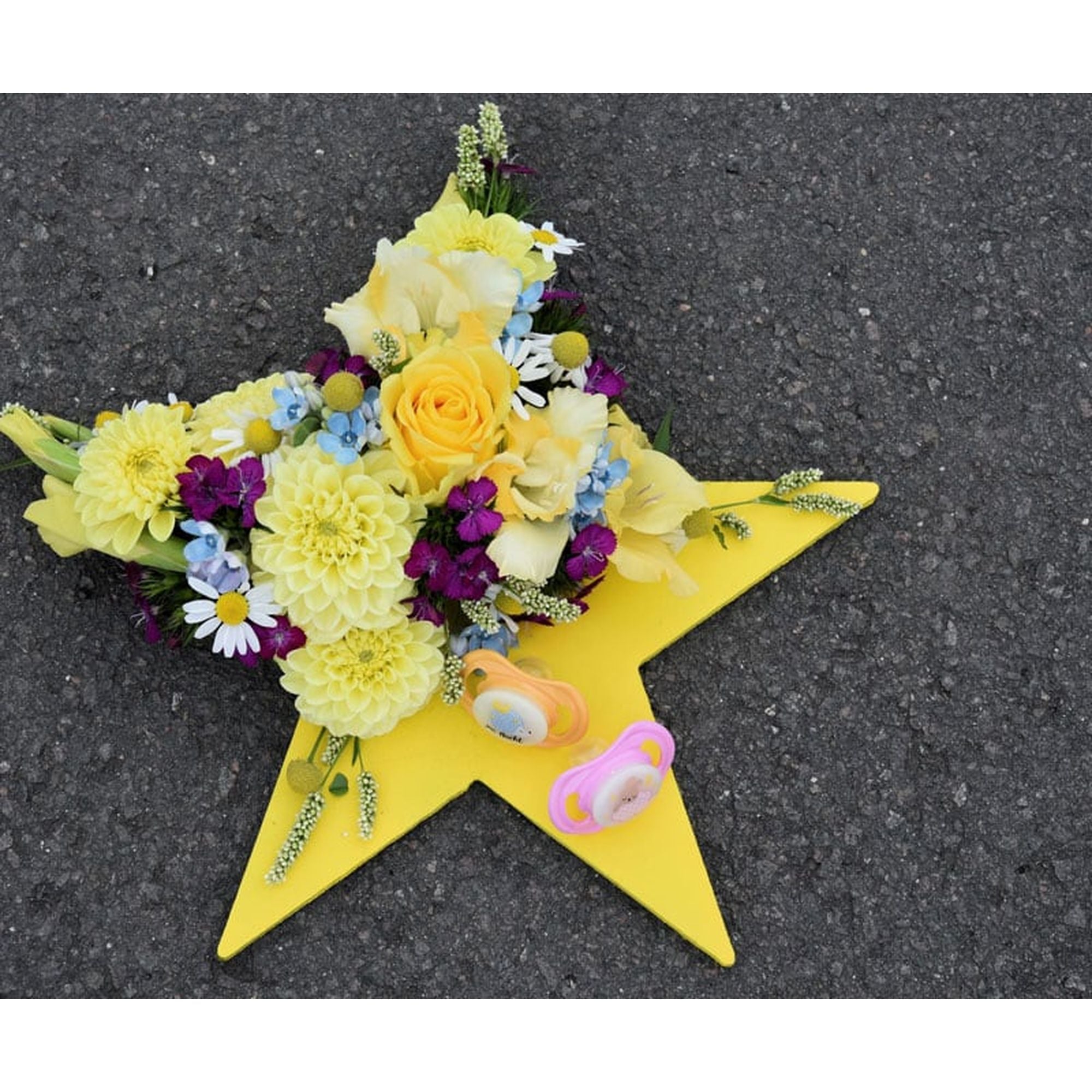 OASIS® BLACK BIOLINE® Crea Star - 2 pièces - 29 x 30 x 4,5 cm