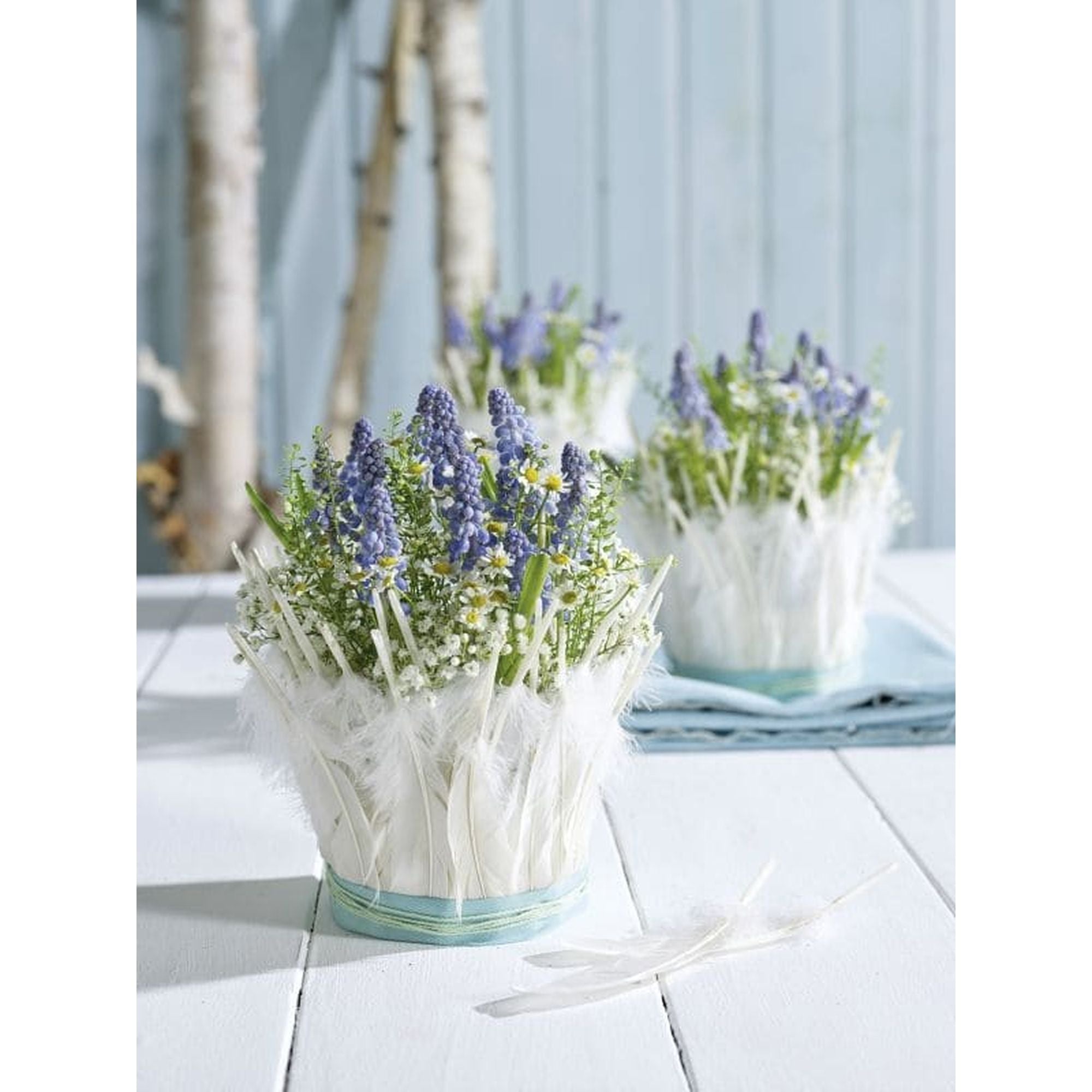 OASIS® Junior Complete - 5 x 12cm Ø - 12 pieces - white