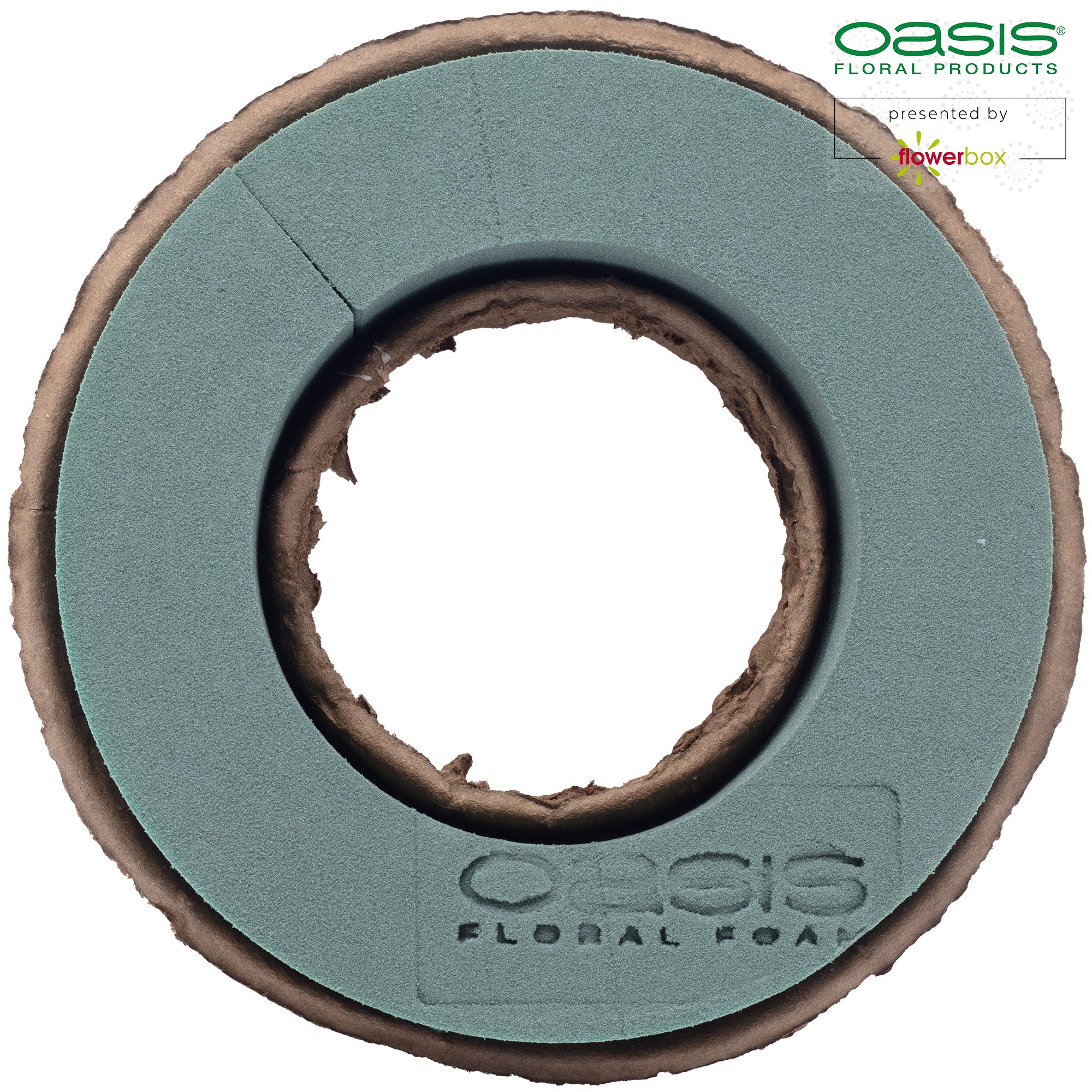 Bague OASIS® BIOLIT® - 3,5 x 17 cm Ø - intérieur : 9,6 cm Ø - 6 pièces.