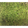Plattenmoos Naturdeko - grün - 100 g - Beutel