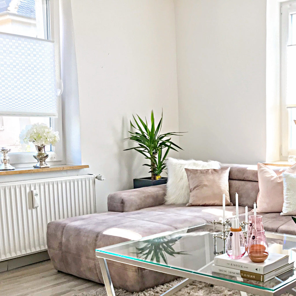 Palmlilie 2-stämmig - Yucca Elephantipes Palme 45/20 - Höhe ca. 80 cm, Topf-Ø 17 cm