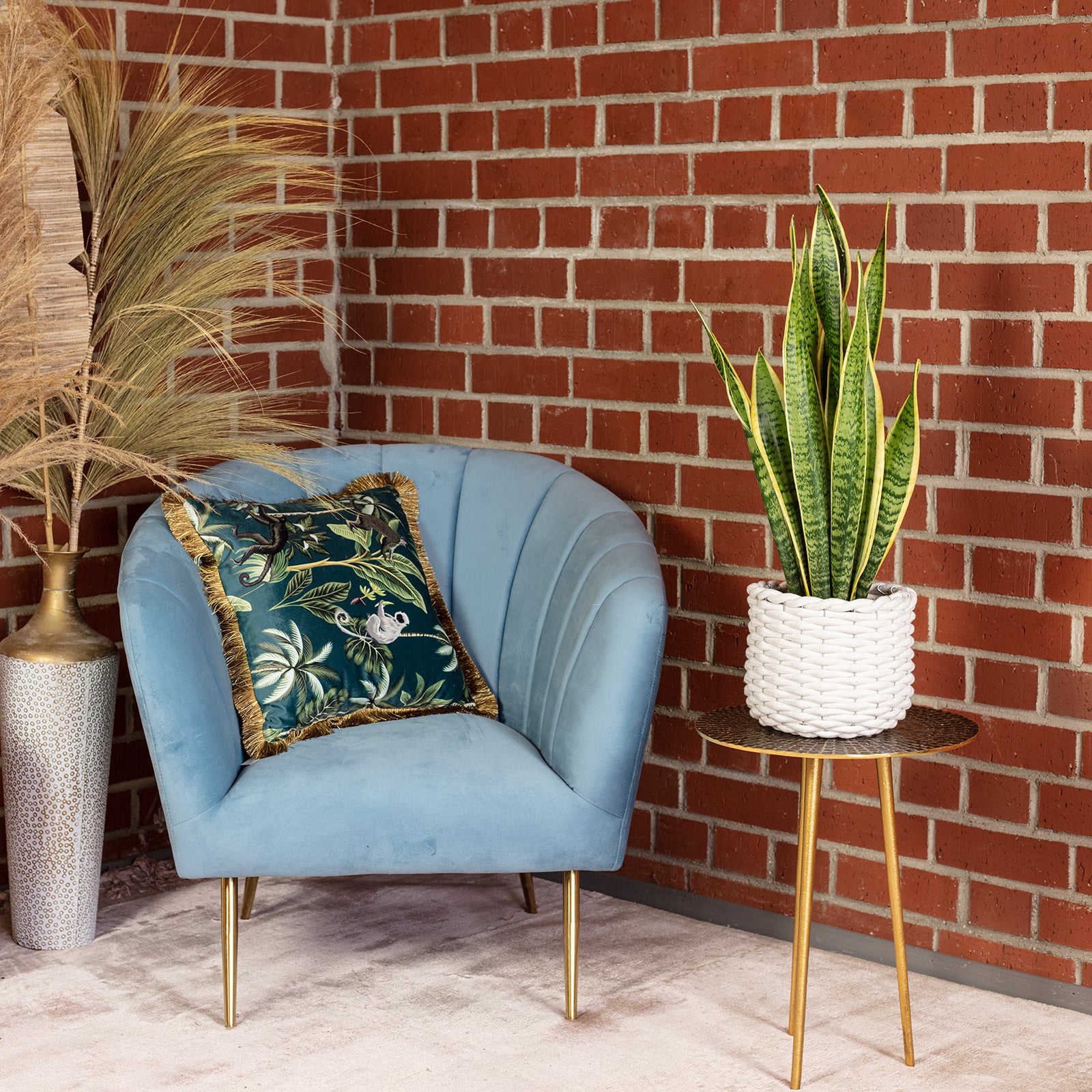 Bogenhanf - Sansevieria trifasciata Laurentii - Höhe ca. 65 cm, Topf-Ø 17 cm