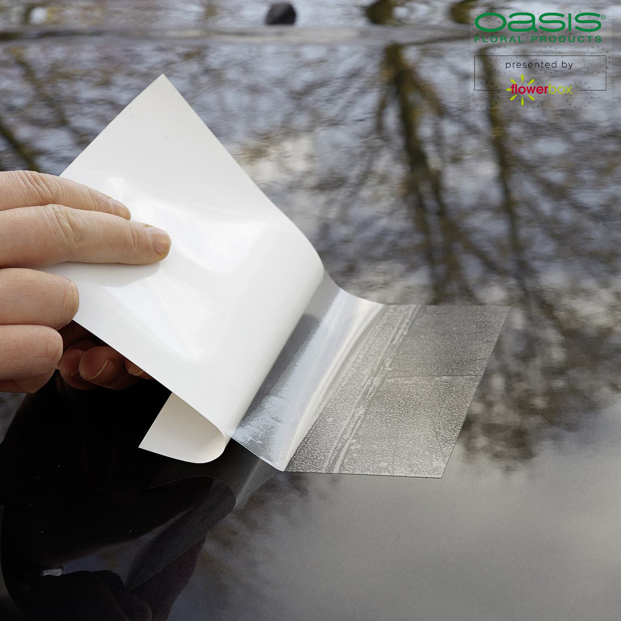 Car Fix Autofolie - 20 x 14cm - 10 St. - transparent