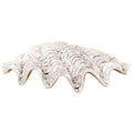 Shell Hilda - polyresin - 15.7x7.3x4 cm