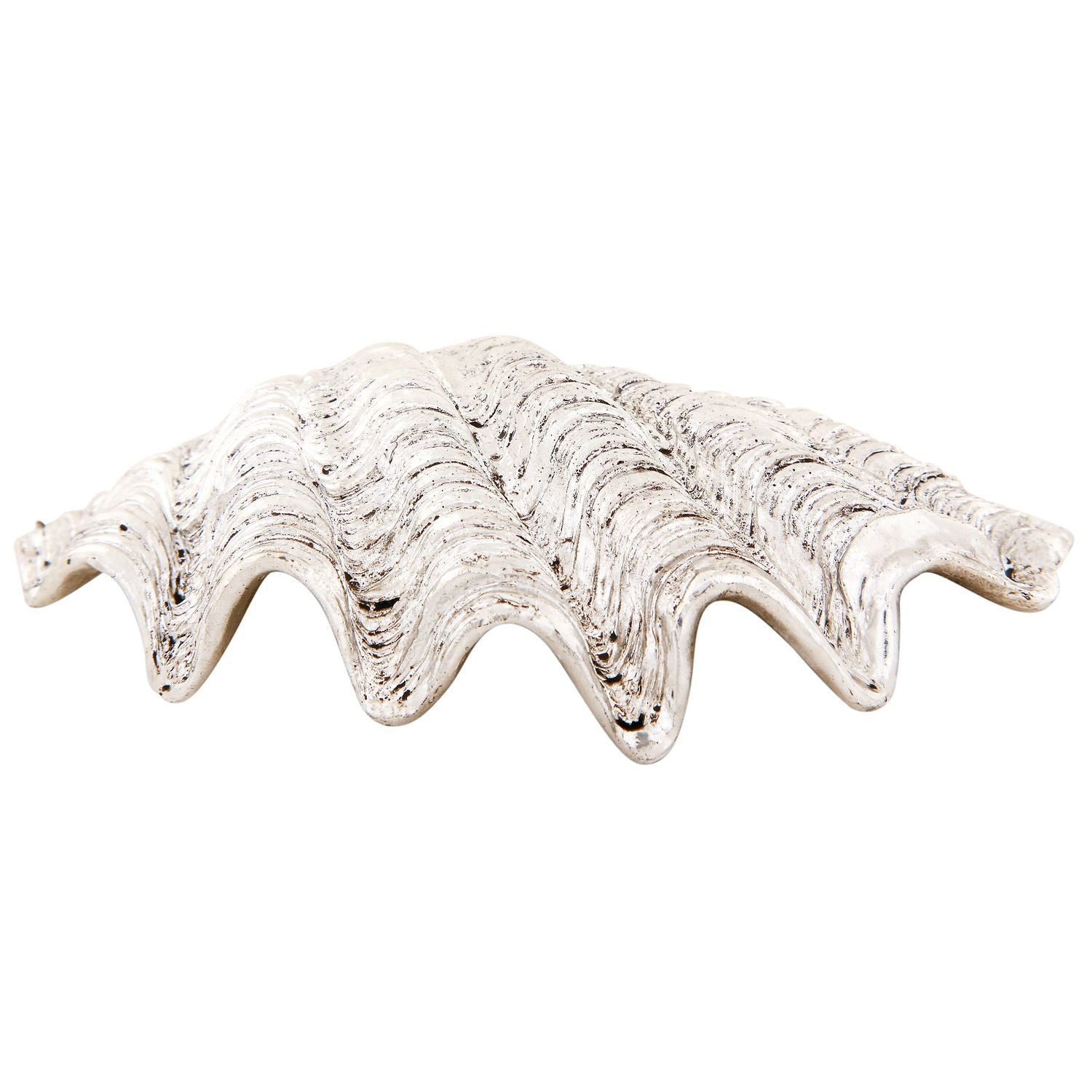 Shell Hilda - polyresin - 15.7x7.3x4 cm