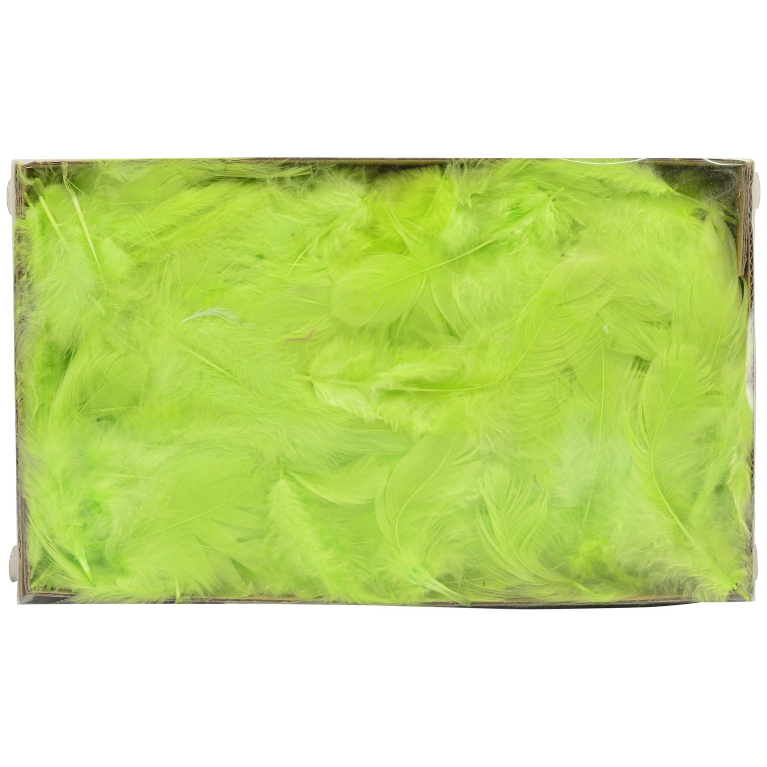FedeR, grün, Feder/Schaum, 25 cm