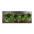 Flowerwall L - Premium Metal braun - 89x33 cm