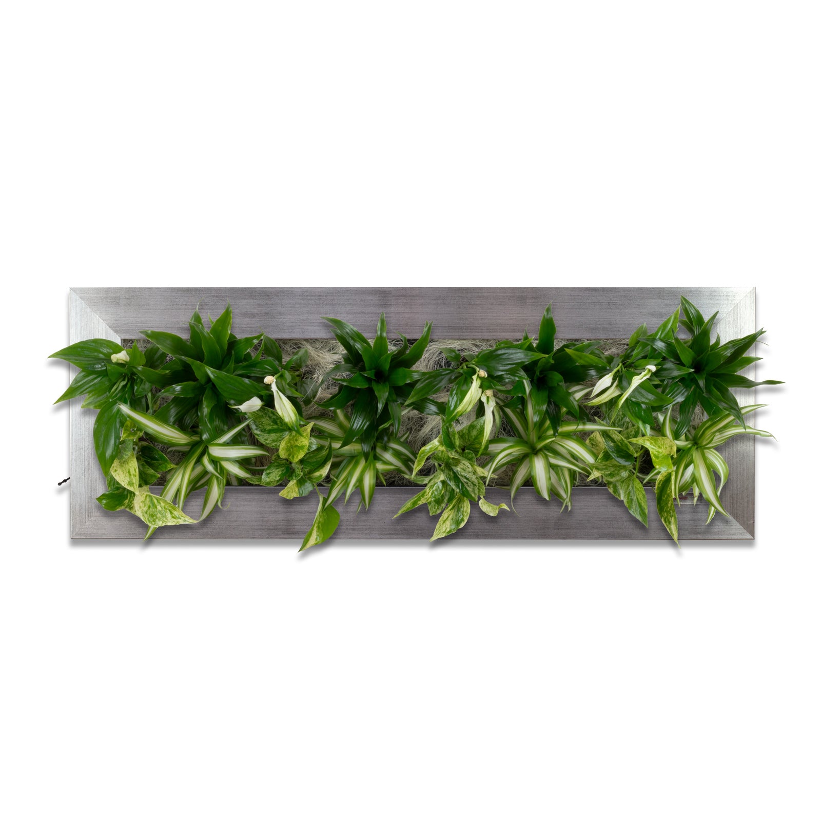 Flowerwall L - aluminium - 89 x 33 cm