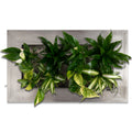 Flowerwall M - alu - 55x33 cm