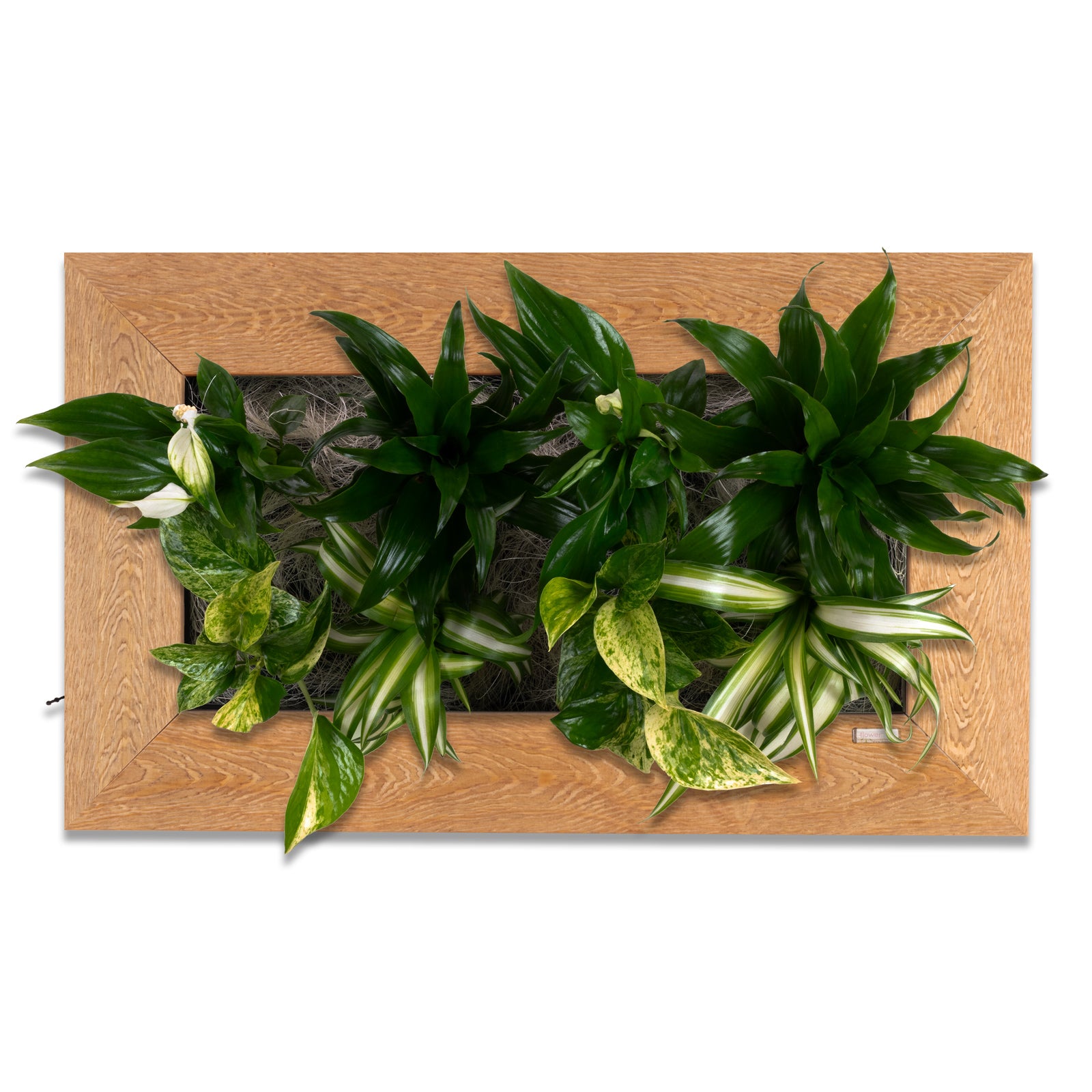Flowerwall M - holz natur - 55x33 cm