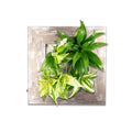 Flowerwall S - alu vintage - 31x31 cm