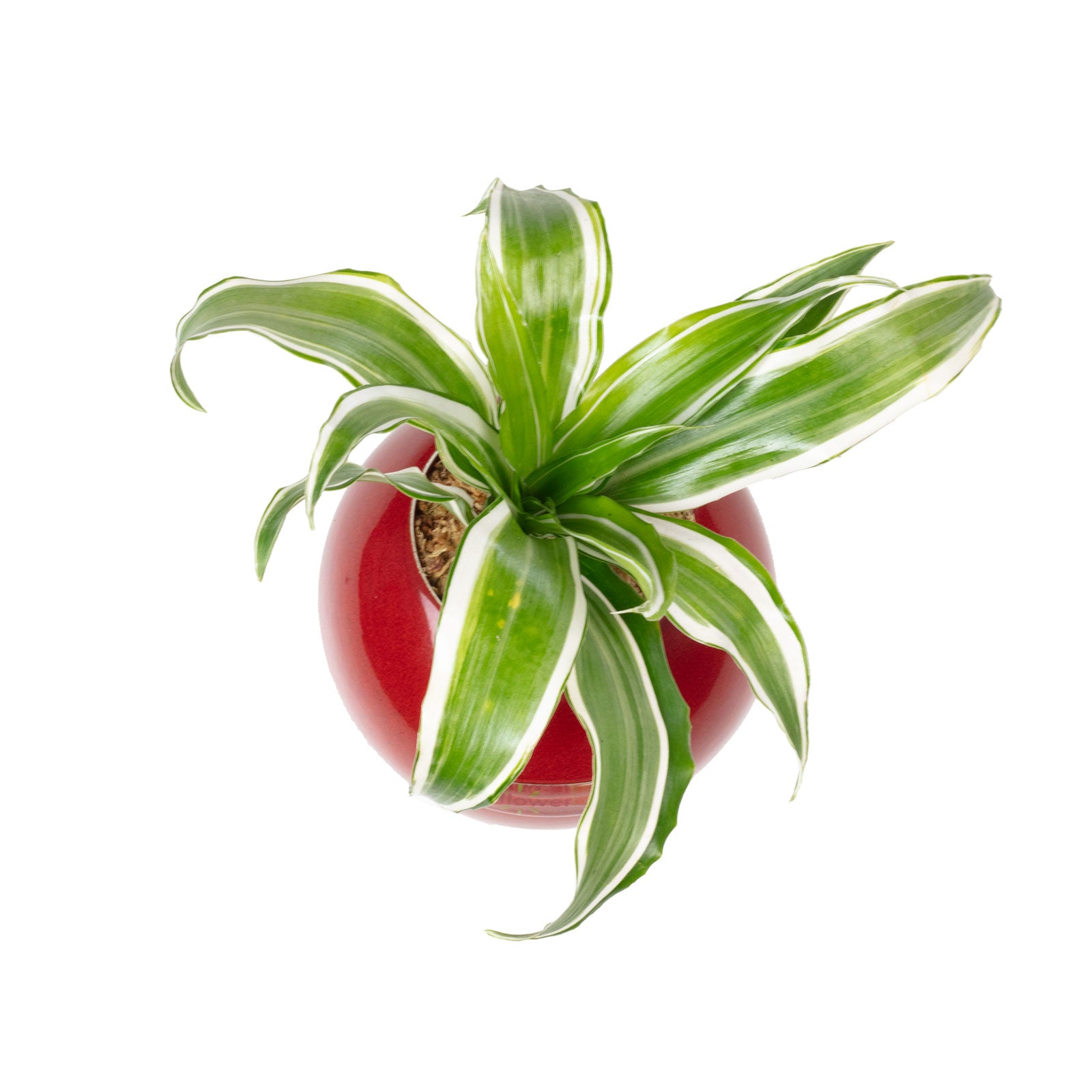 Ball - rot - 12x12 cm