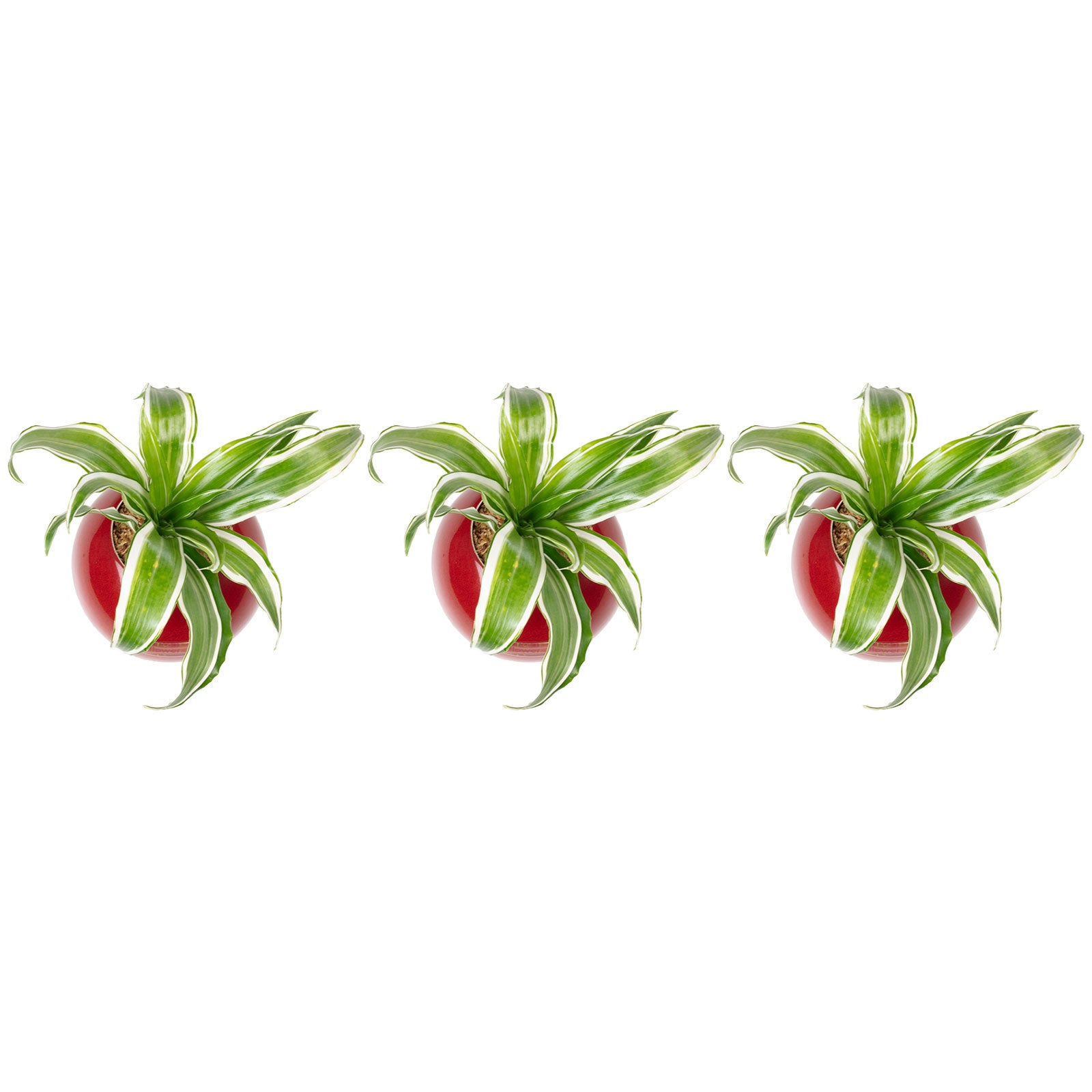 3er-Set Ball - rot - 12x12 cm