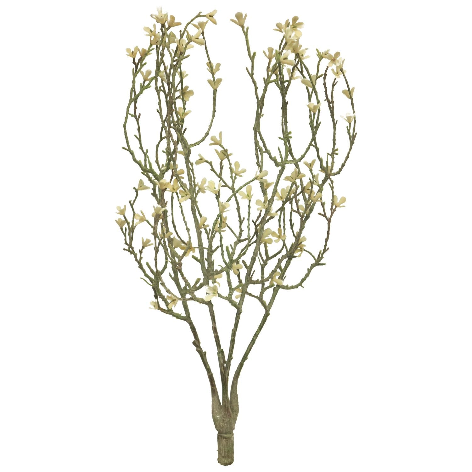 (Best) Mini star flower bush - white - 44 cm
