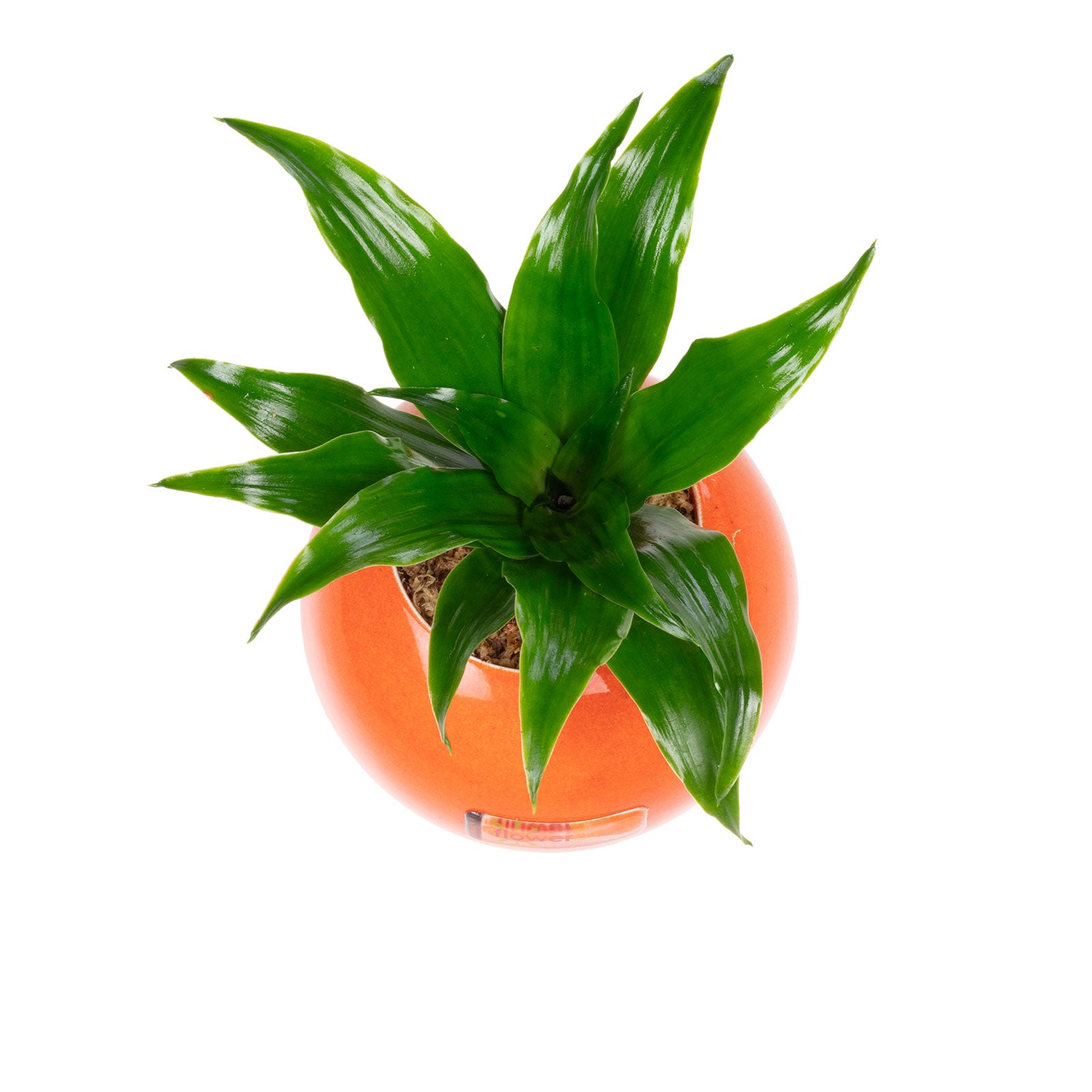 Ball - orange - 12x12 cm