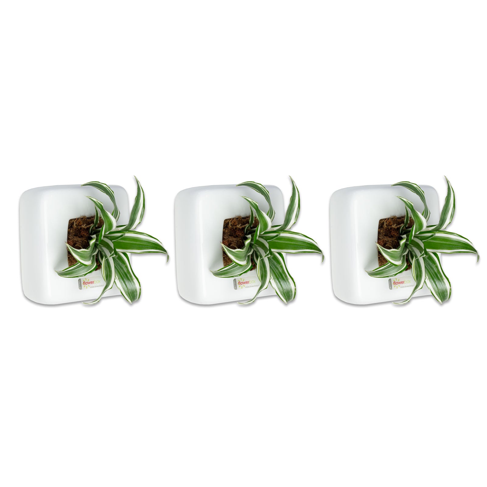 3er-Set Box 1 - weiß - 16x16 cm