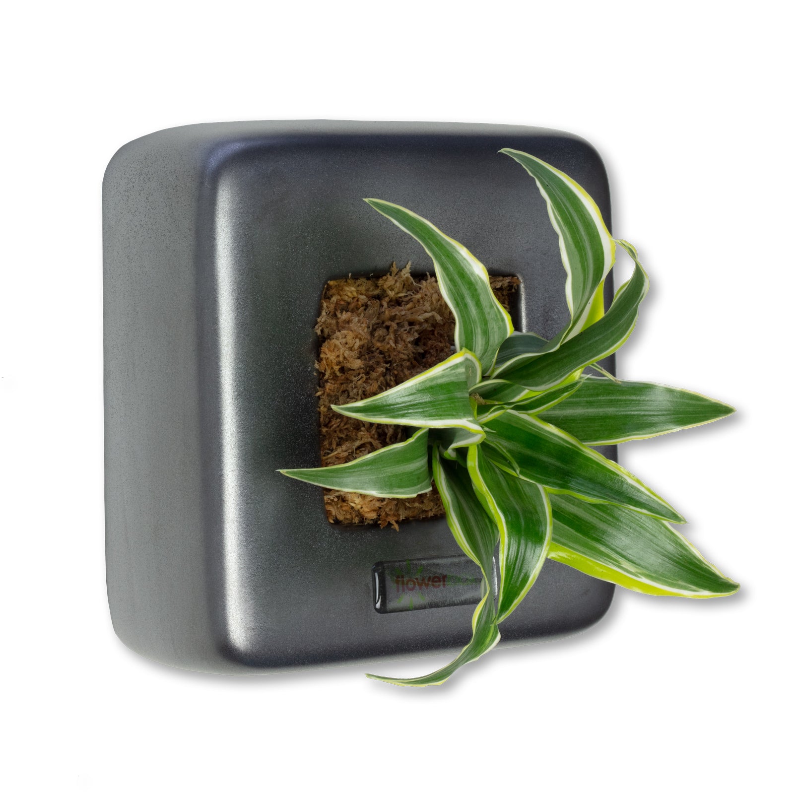 Box 1 - anthrazit - 16x16 cm