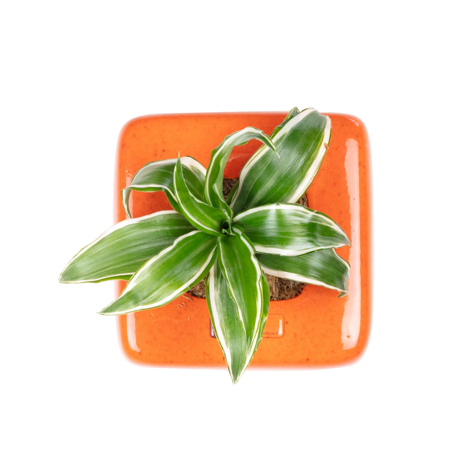 Box 1 - orange - 16x16 cm