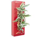 Box 40 - red - 40x16 cm