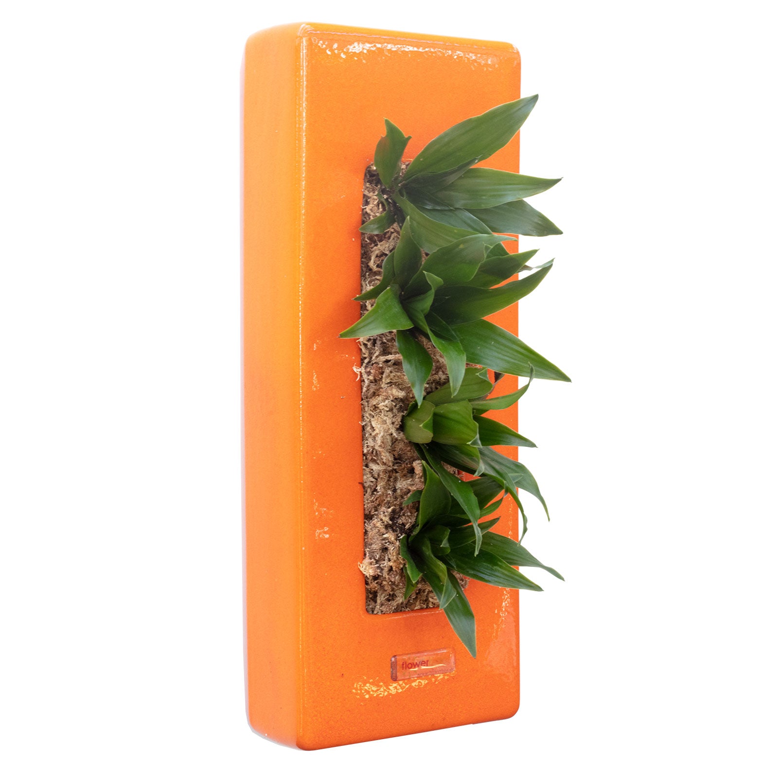 Box 40 - orange - 40x16 cm