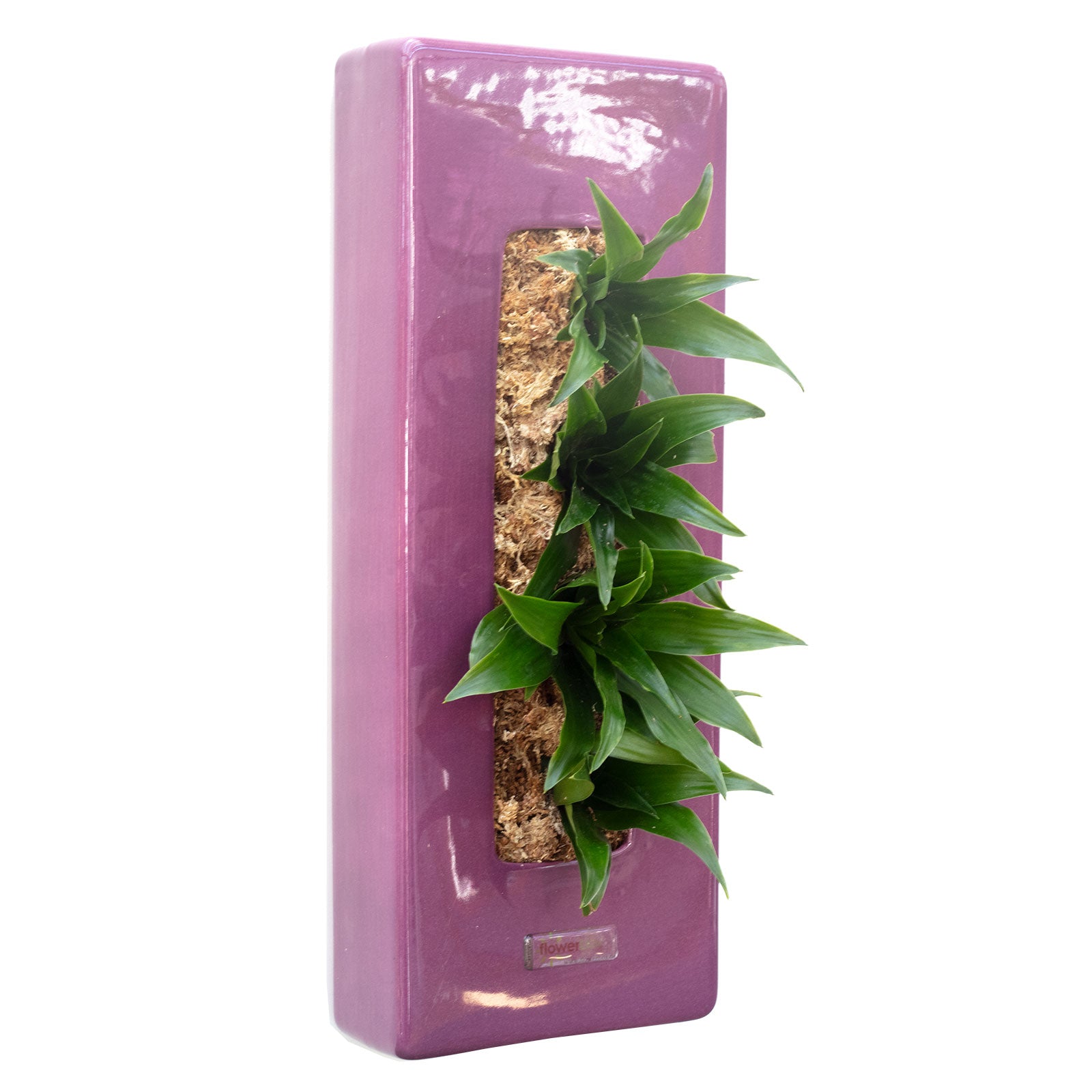 Box 40 - violett - 40x16 cm