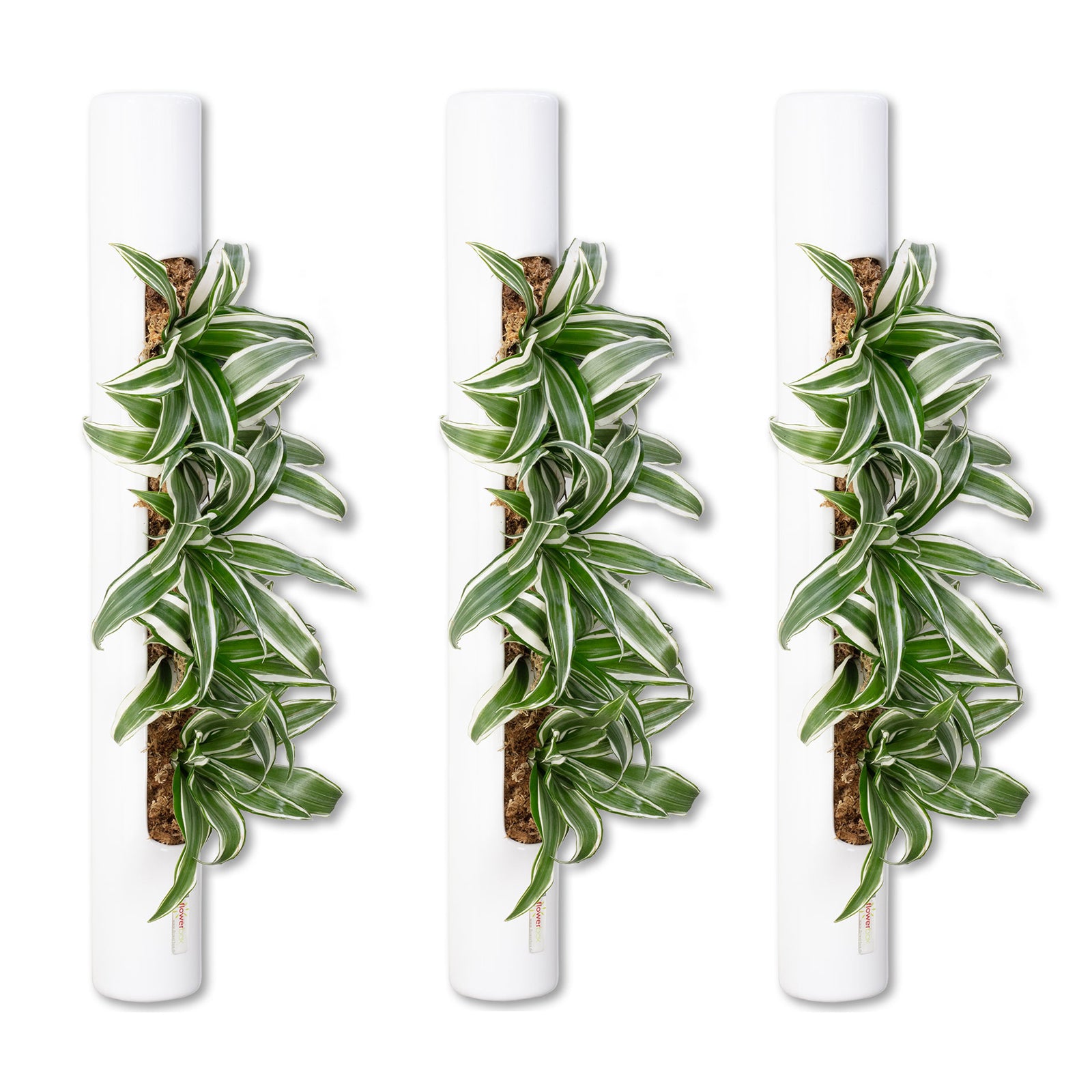 3er-Set bigTube - weiß - 65x7,5 cm