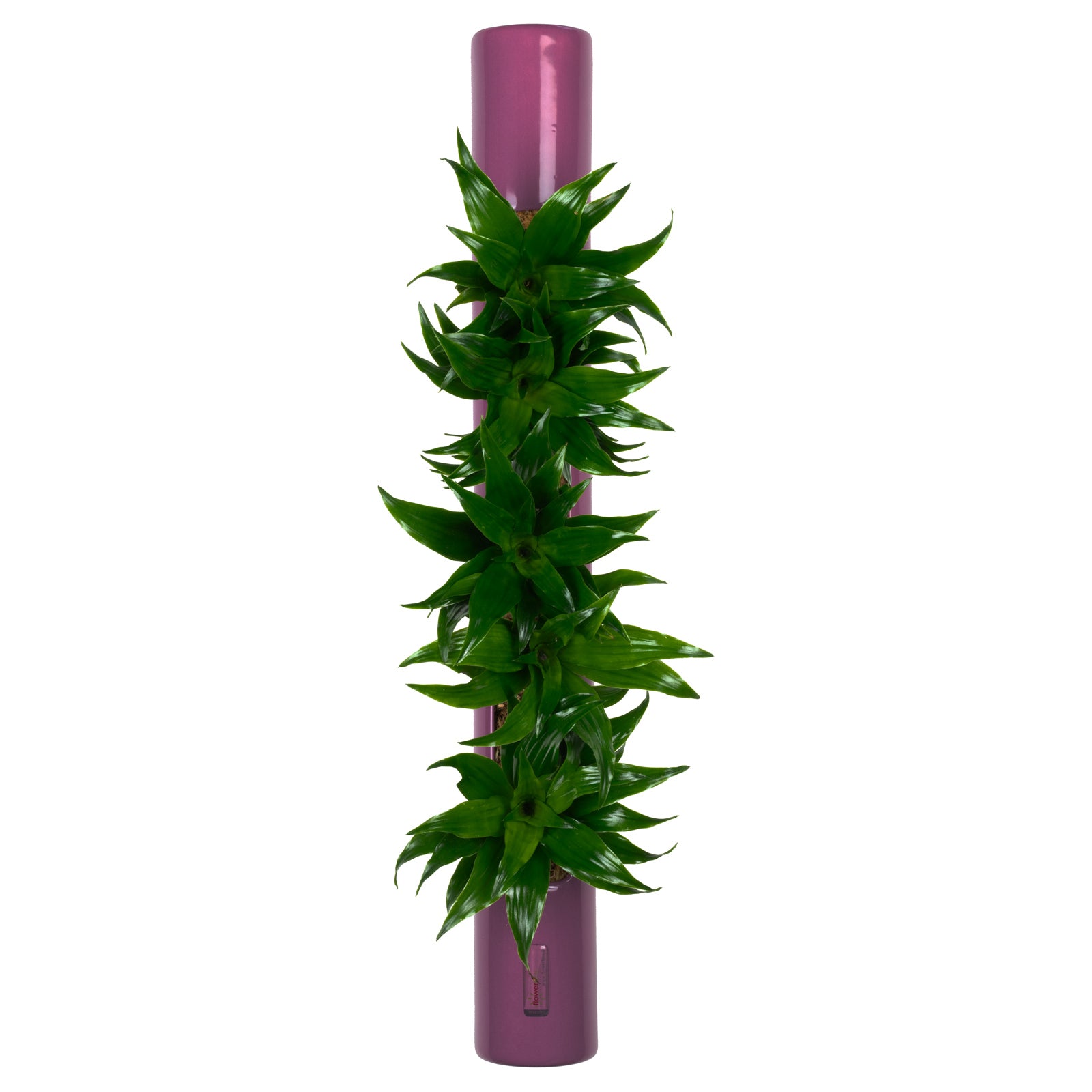 bigTube - violet - 65 x 7,5 cm