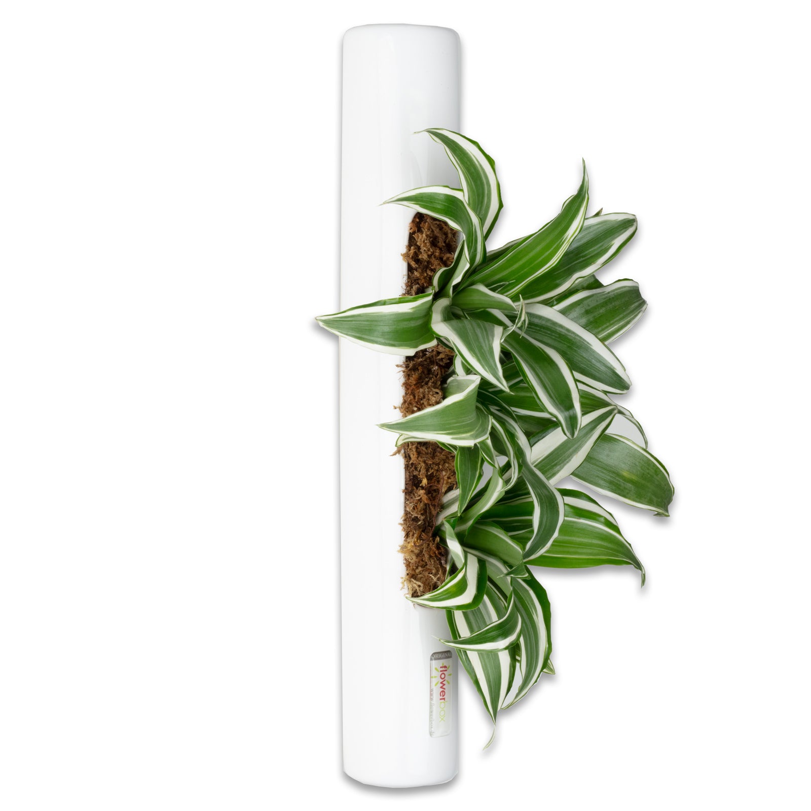Tube - weiß - 40x6,5 cm