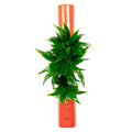 Tube orange - 40 x 6,5 cm