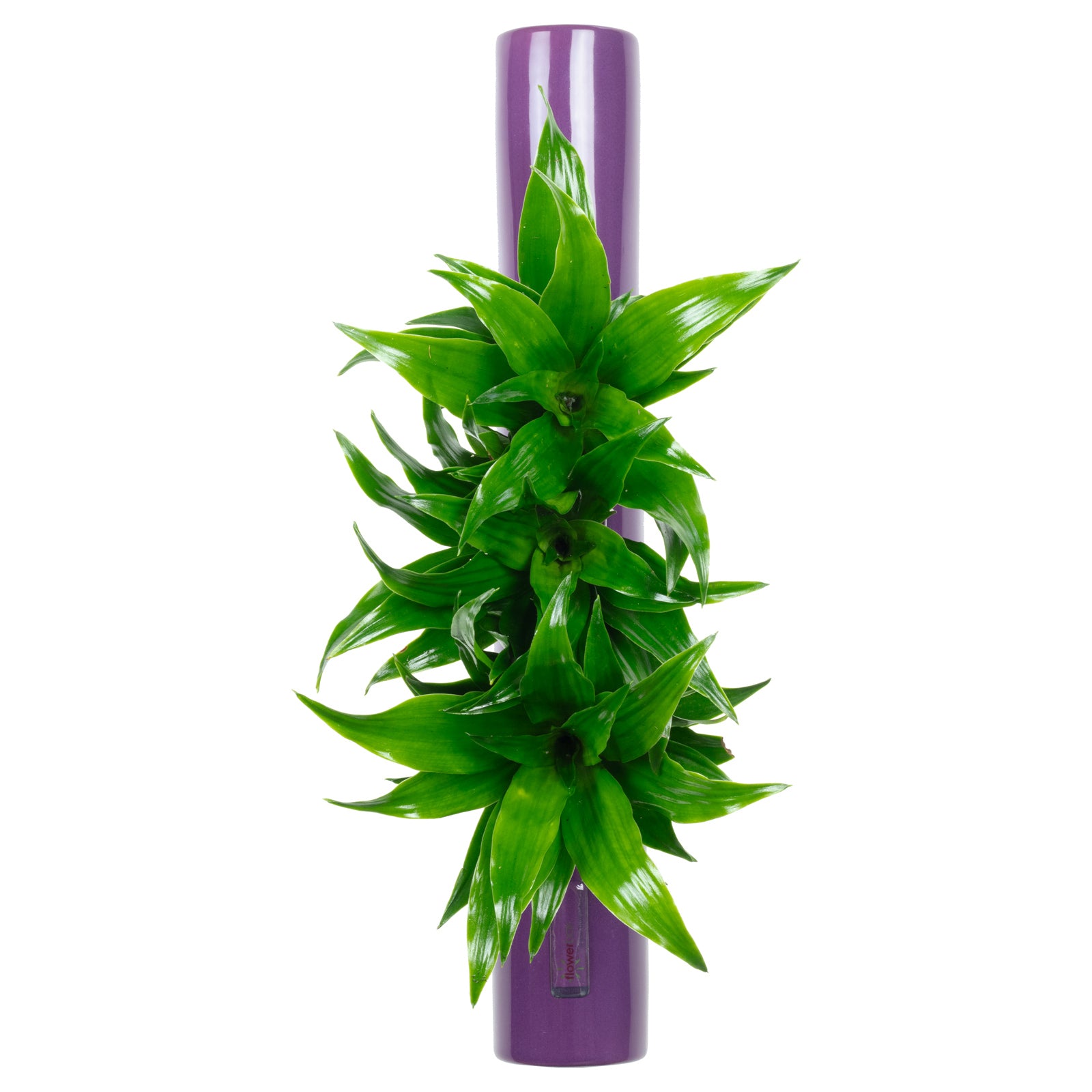 Tube - violet - 40x6.5 cm