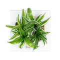 Box 25 - white - 25x25 cm