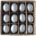 Box mit Ei Goog - 12 tlg. - silber - 26,5x24,5x6 cm