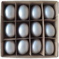 Box mit Ei Goog - 12 tlg. - silber - 26,5x24,5x6 cm