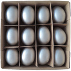 Box mit Ei Goog - 12 tlg. - silber - 26,5x24,5x6 cm