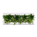 Flowerwall L - wood white - 89x33 cm