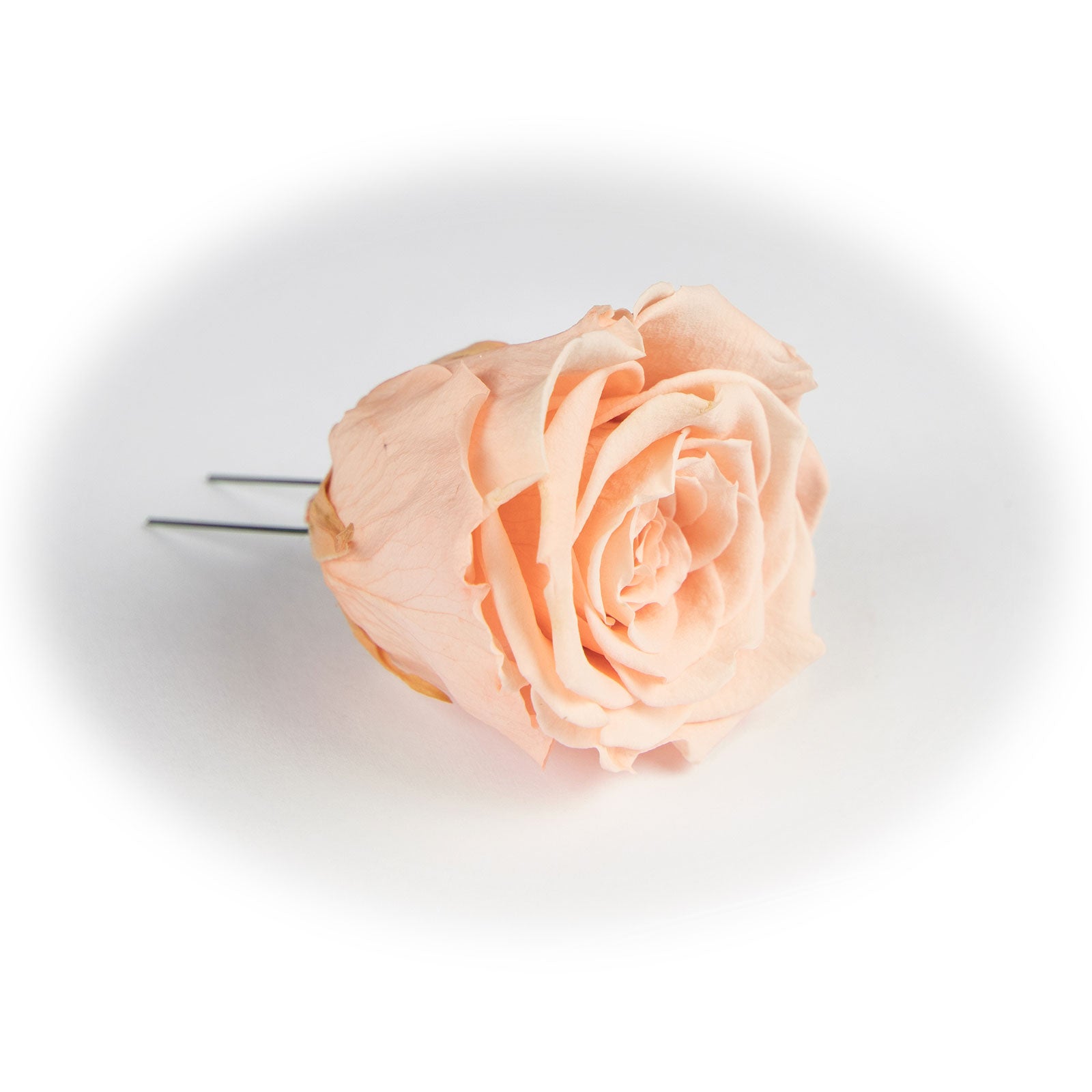 6er-Pack handgefertigte echte Christbaumschmuck-Rosen rosé
