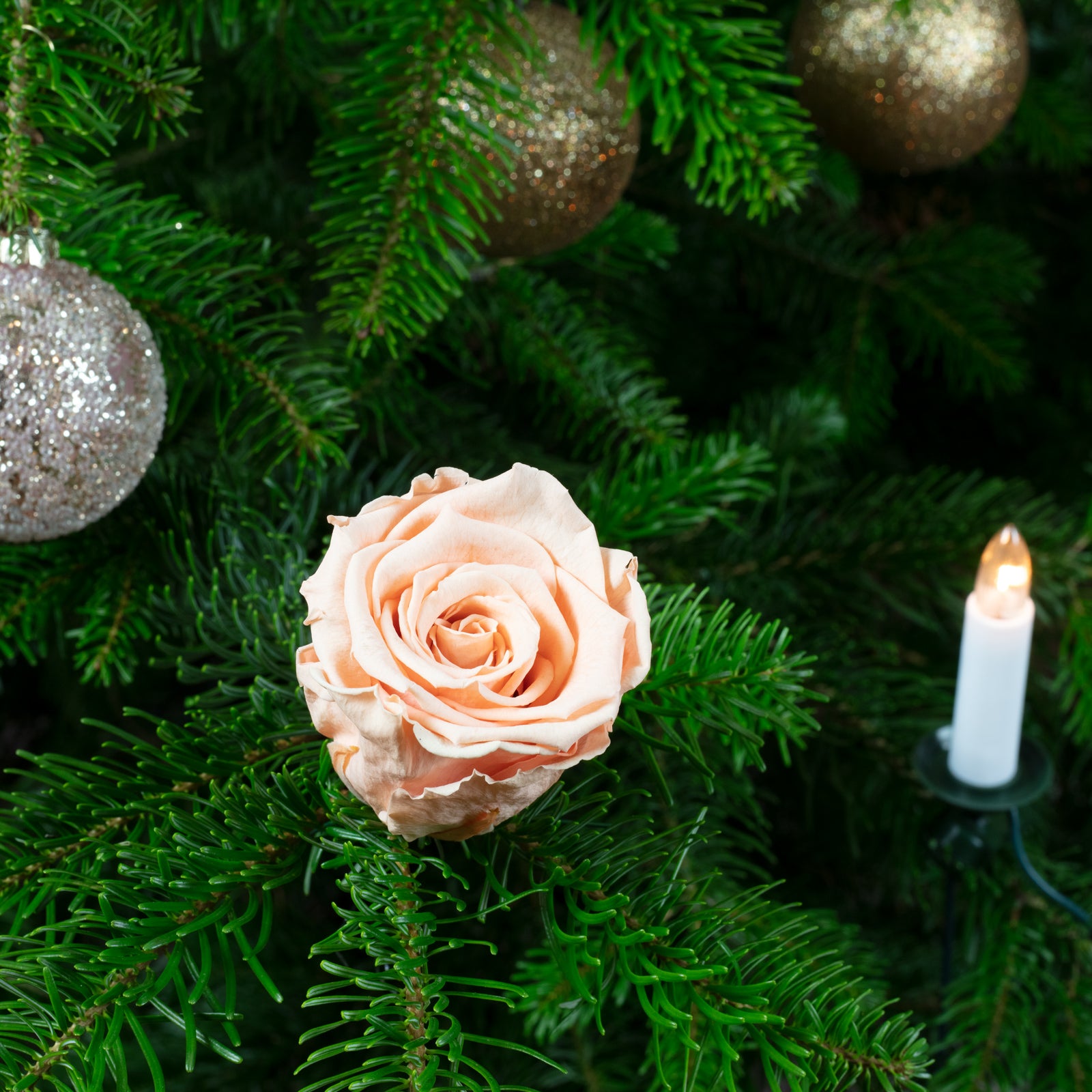 6er-Pack handgefertigte echte Christbaumschmuck-Rosen rosé
