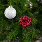 Lot de 6 roses rouges à bordure pailletée, véritables ornements de sapin de Noël faits main.