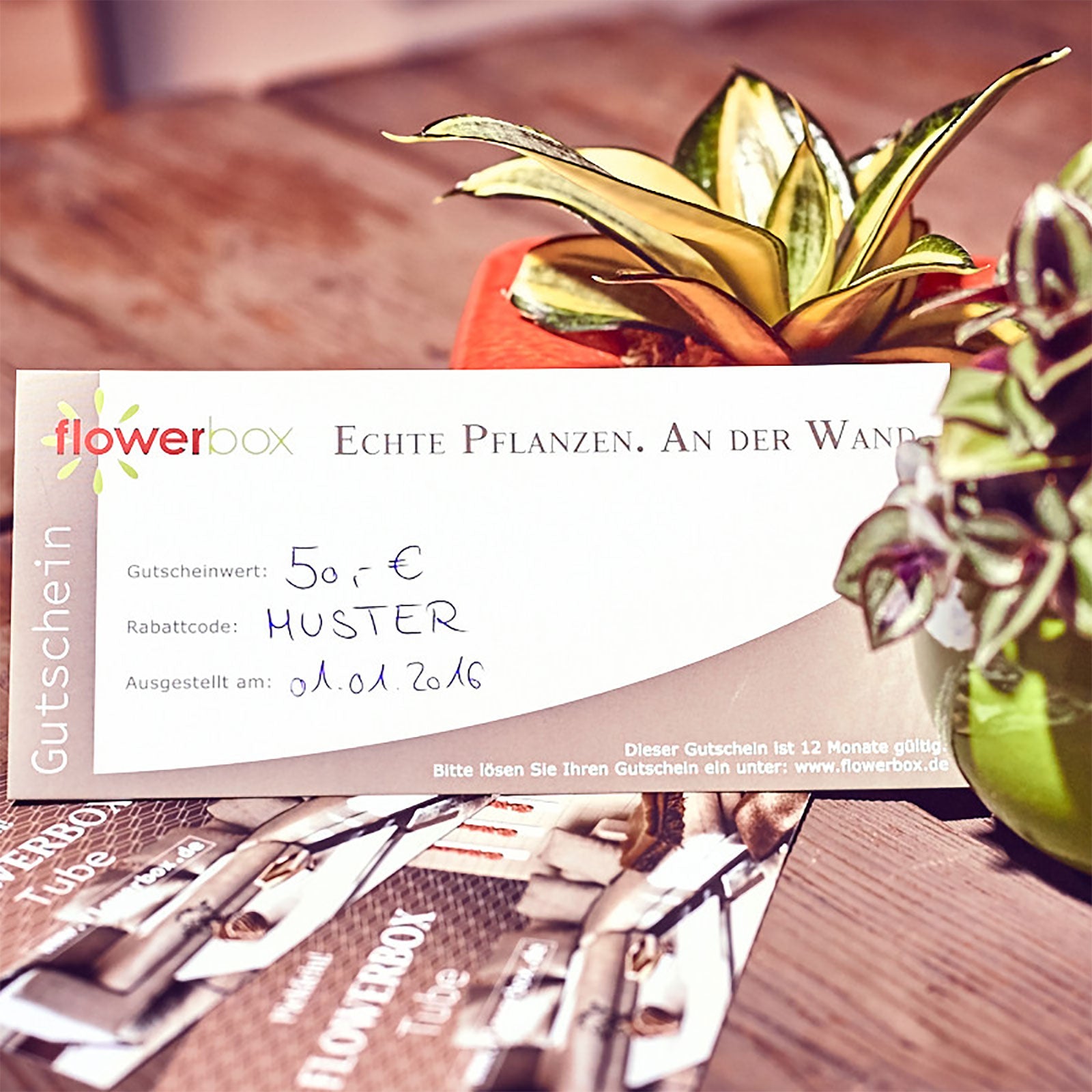 flowerbox.de voucher worth €50.00