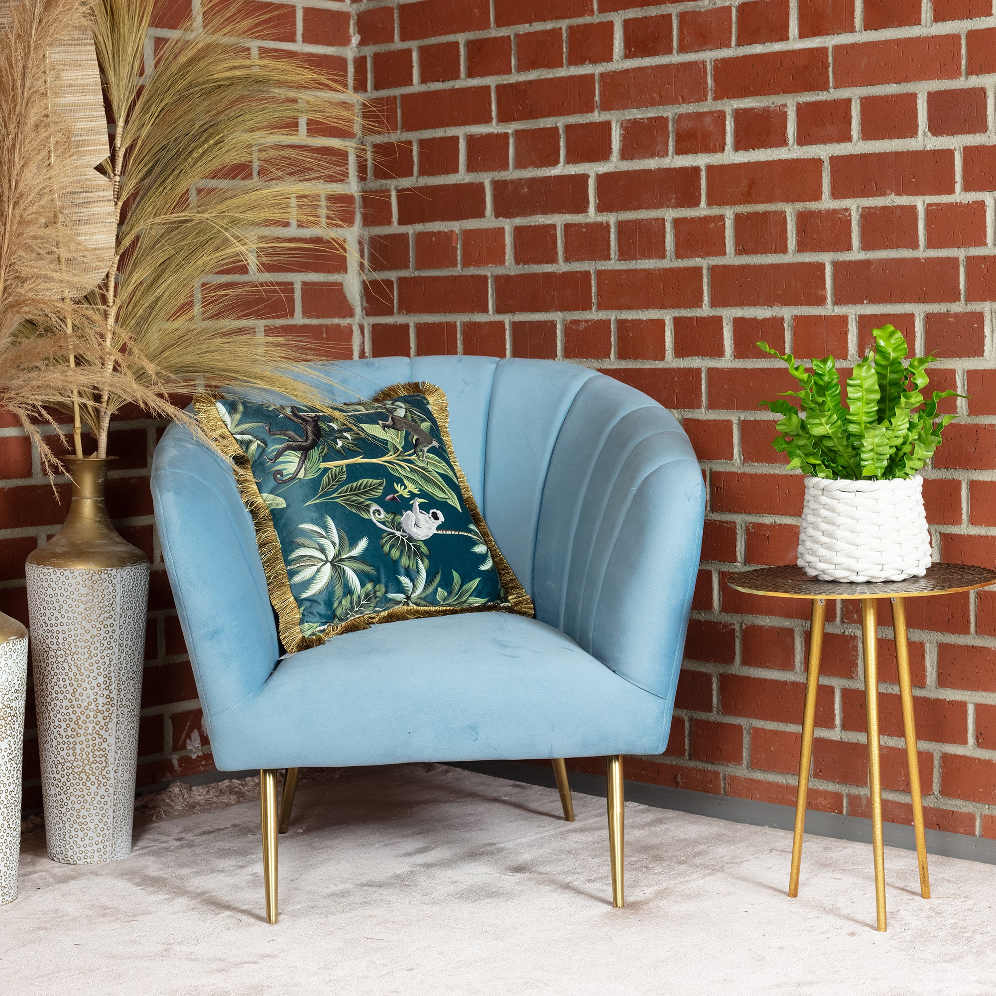 Nestfarn - Asplenium nidus 'Crispy Wave' - Höhe ca. 25 cm, Topf-Ø 12 cm