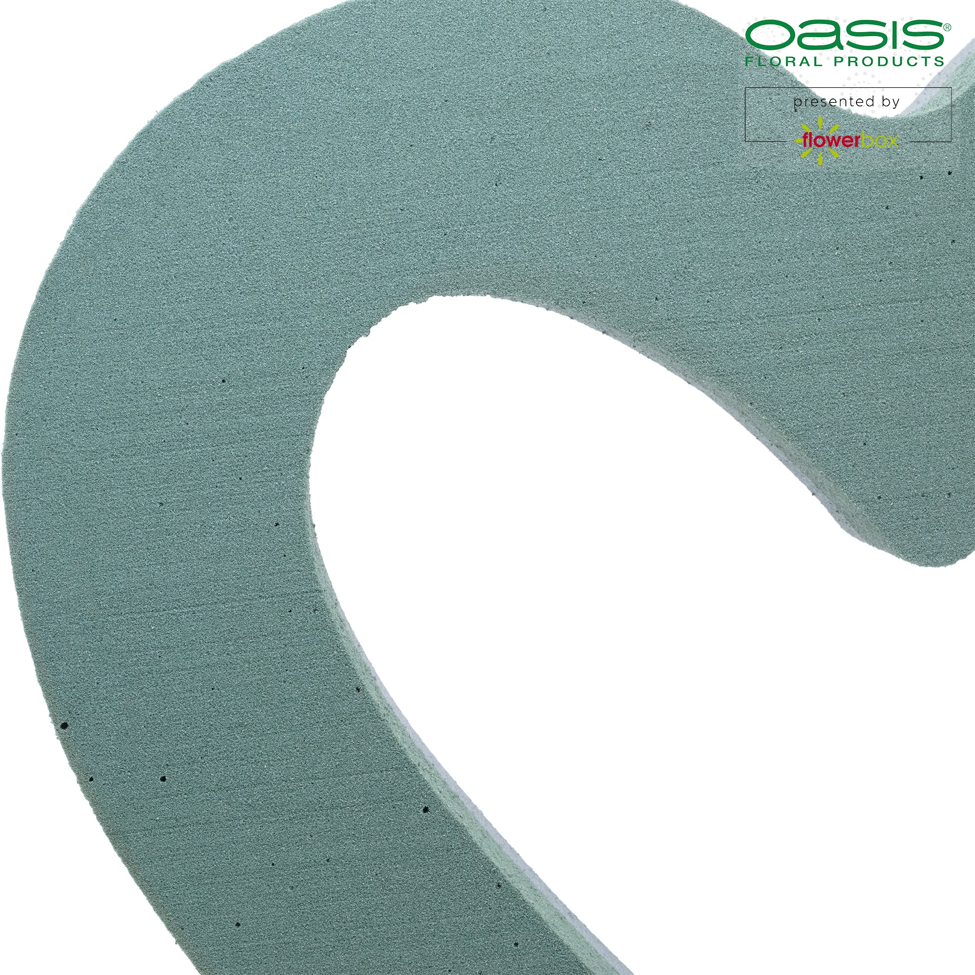 OASIS® FOAM FRAMES® Offene Herzen - 36 x 37 x 6cm - 2 St.