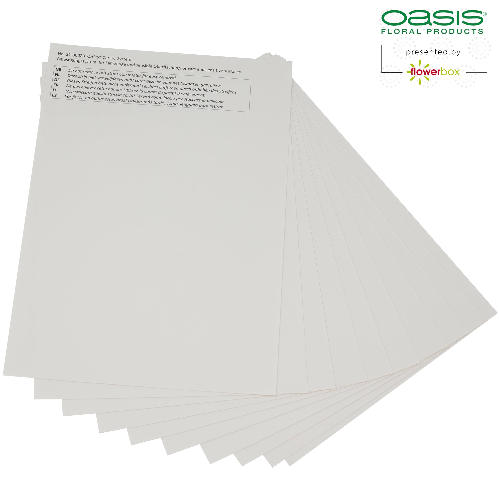 Film de protection pour voiture Car Fix - 20 x 14 cm - 10 pièces - transparent