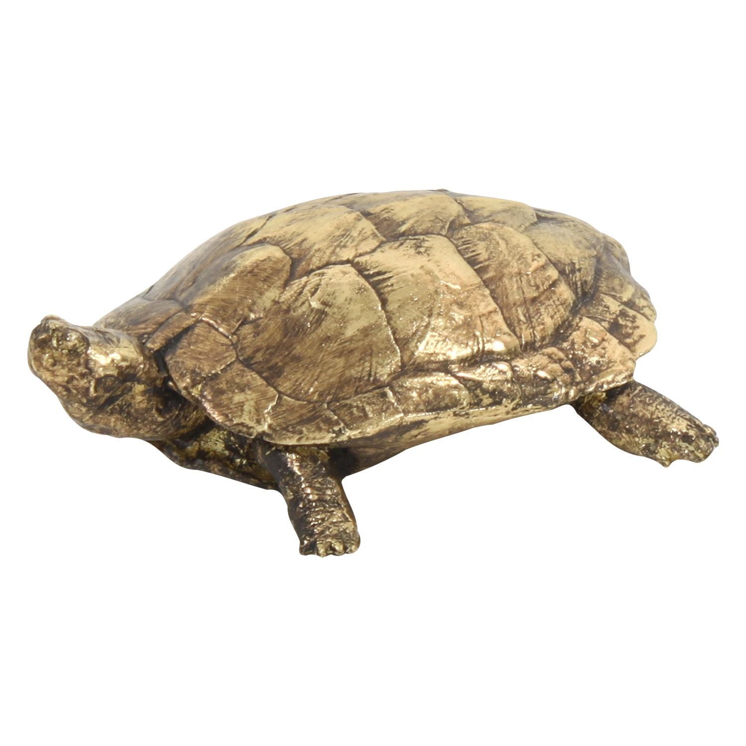Schildkröte, gold Polyresin, 23x20x8 cm