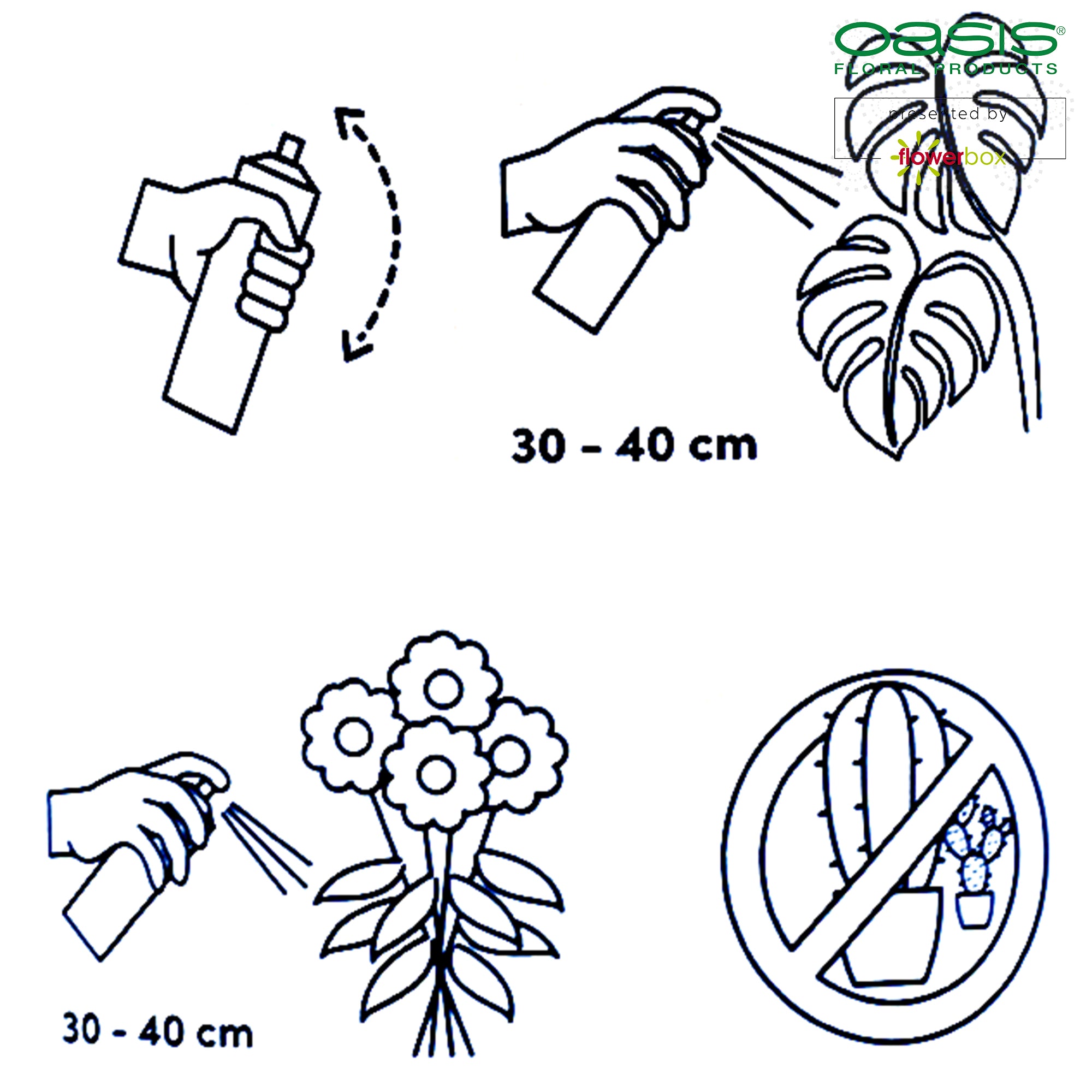 FLORALIFE® Blattglanz - 750 ml - 1 Stück