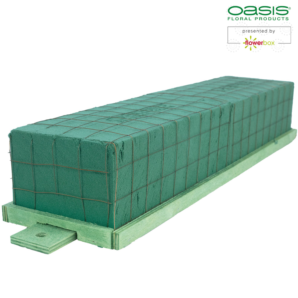 OASIS® BIOLINE® Raquette - für 2 Ziegel - 4 Stück