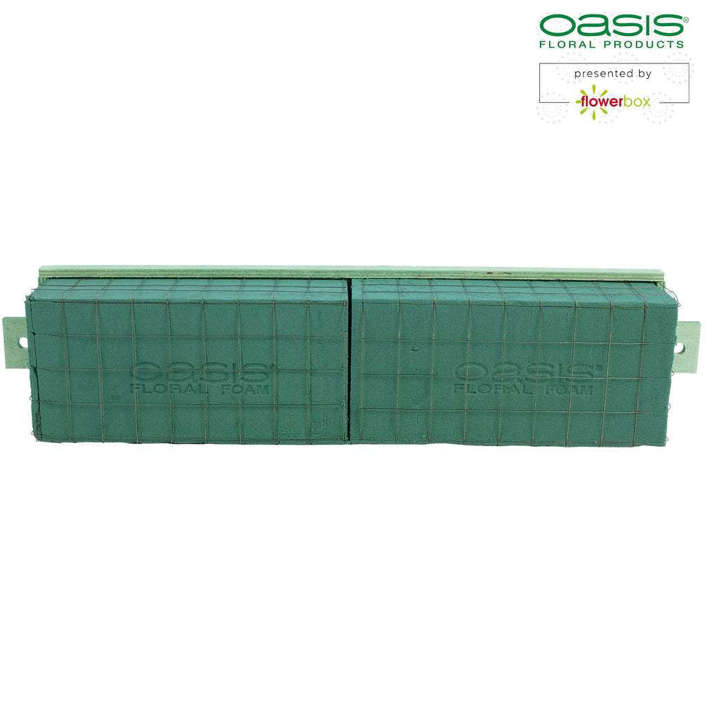 OASIS® BIOLINE® Raquette - für 2 Ziegel - 4 Stück