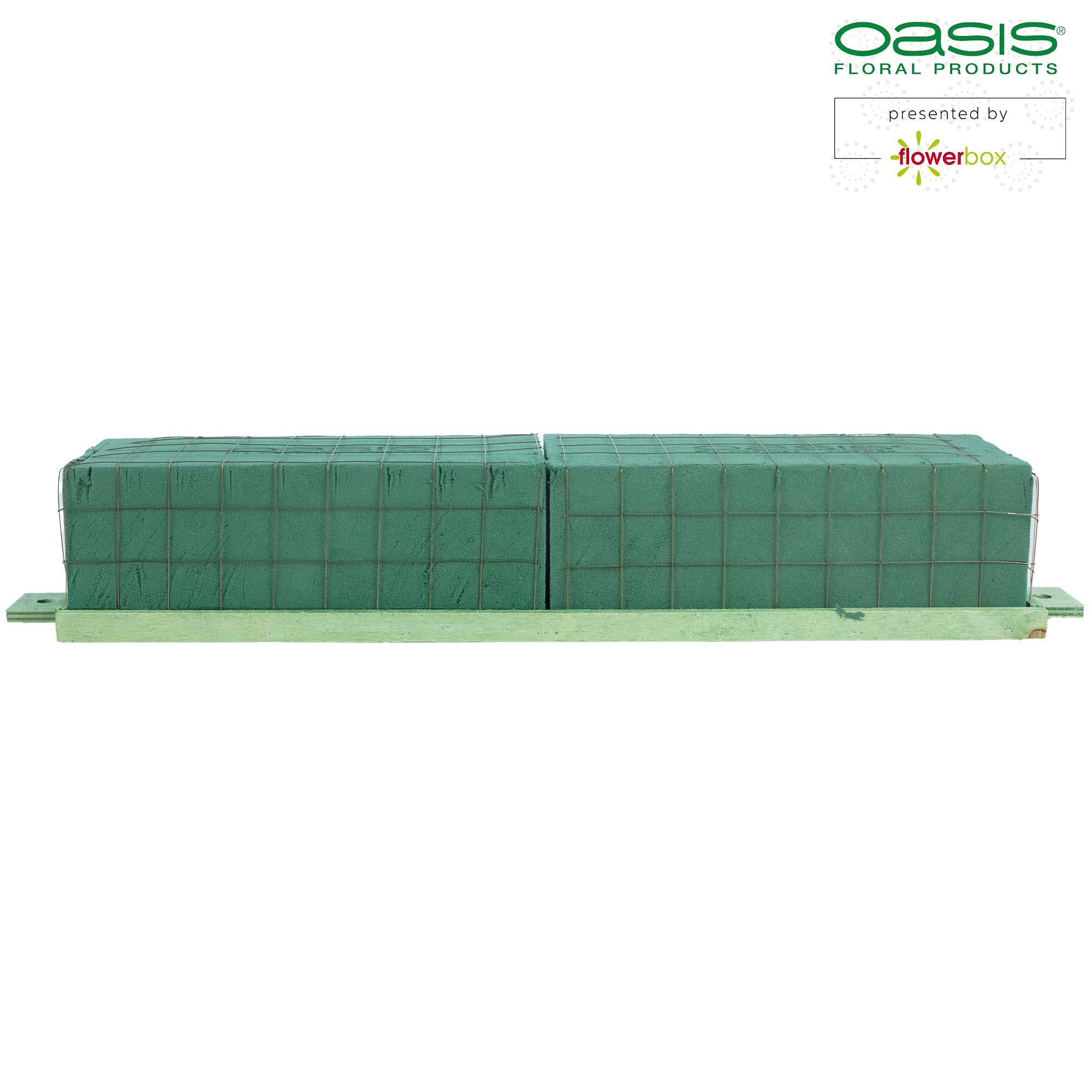 OASIS® BIOLINE® Raquette - für 2 Ziegel - 4 Stück