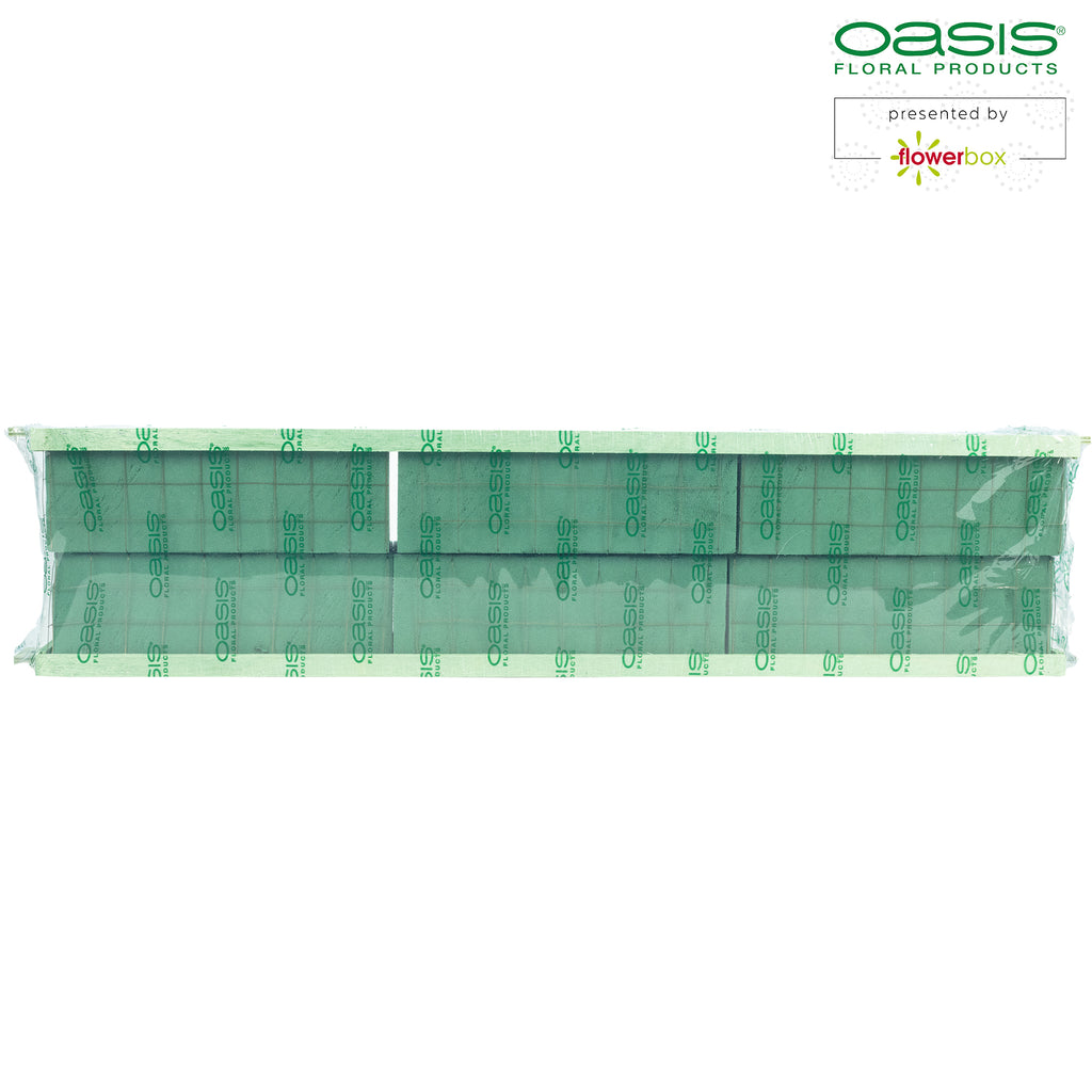 OASIS® BIOLINE® Raquette - für 3 Ziegel - 2 Stück